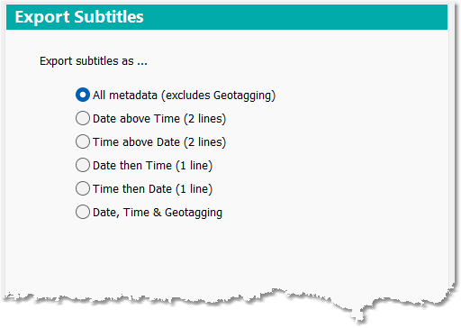 Export Subtitles options